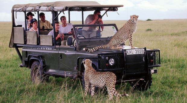 Game Drive