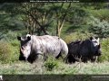 FT2014_045_1366x768