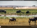 FT2014_057_1366x768