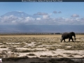 FT2014_065_1366x768