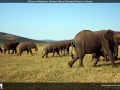 FT2014_072_1366x768