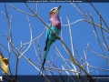 FT2014_049_1366x768