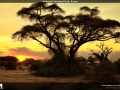FT2014_067_1366x768