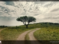 FT2014_070_1366x768