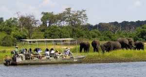 Chobe River Safari